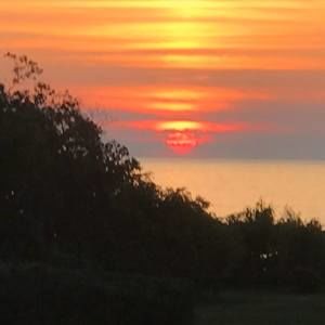 Meet your Posher, Carla